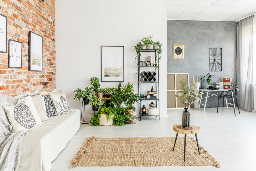 How to Arrange Plants in Living Room: Expert Tips for Natural Elegance